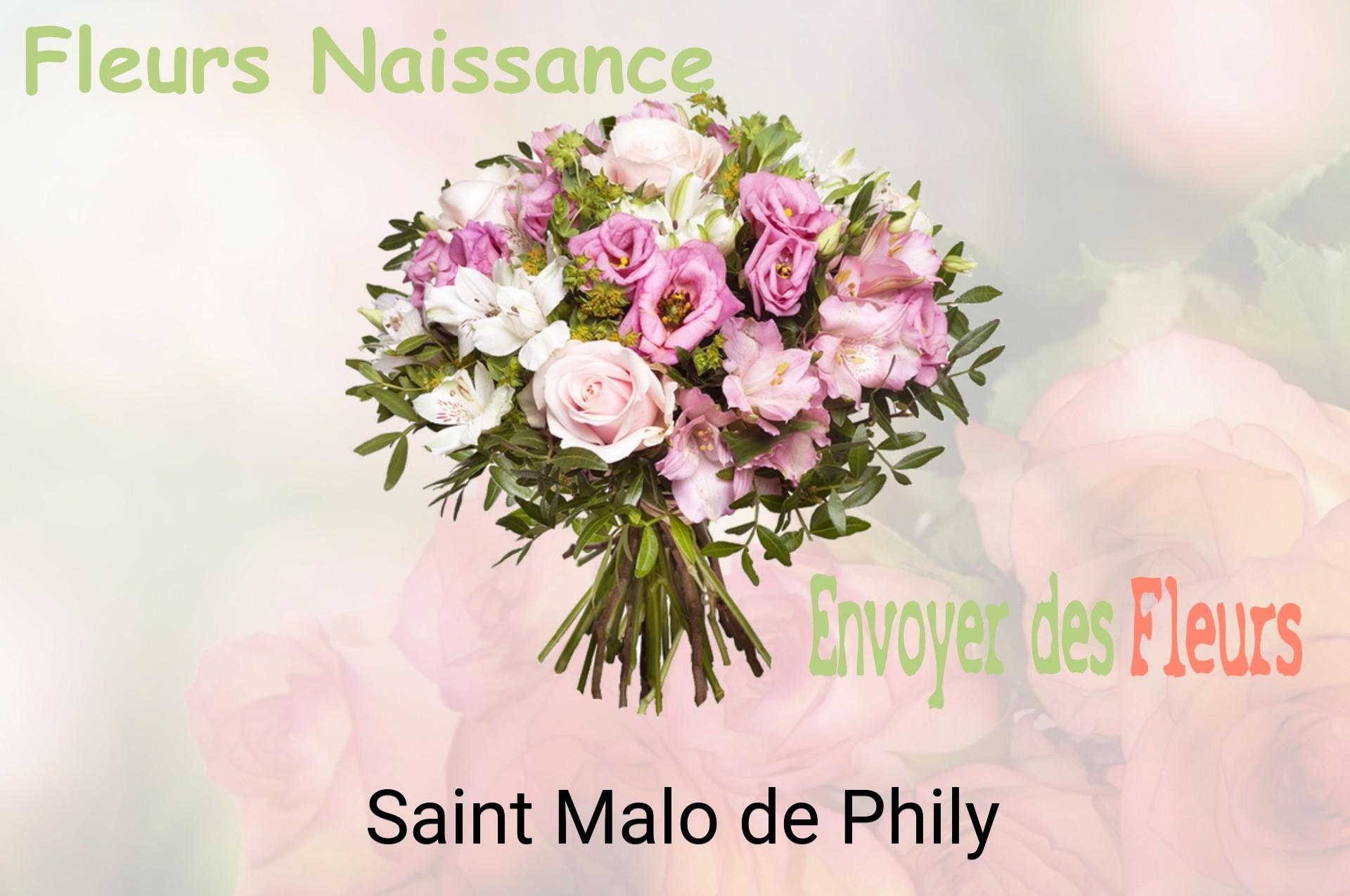 Bouquet de fleurs de naissance livré à Saint-Malo-de-Phily